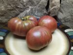 DWARF TENNESSEE SUITED TOMATOES