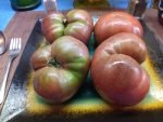 DWARF WILD SPUDLEAF SANDWICH TOMATOES