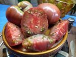 DWARF WILD SPUDLEAF SLICING TOMATOES