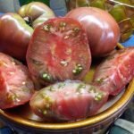 DWARF WILD SPUDLEAF SLICING TOMATOES