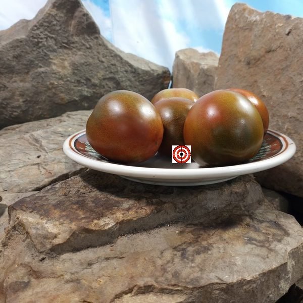 Dice's Mystery Black Tomato