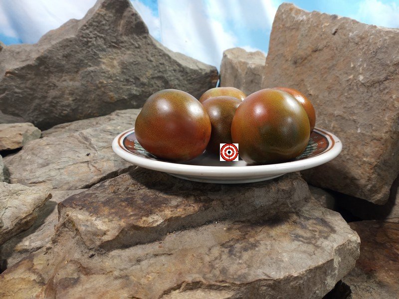 Dice's Mystery Black Tomato