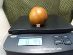 Dices Mystery Black Tomato Brown Tomatoes