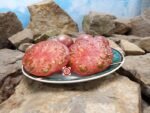 Dwarf Black Angus Tomato Seeds.