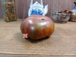 Dwarf Tennessee Suited Tomato Container Tomatoes.