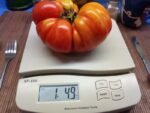 ELI 1 POUND PLUS TOMATOES