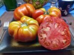ELI SLICING TOMATOES