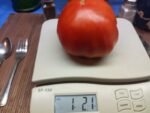 Eli Tomato - Image 7