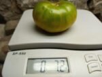 Esmeralda Golosina Tomato