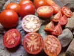 F.H. CROW HEIRLOOM TOMATOES