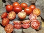 F.H. CROW NEW TOMATOES