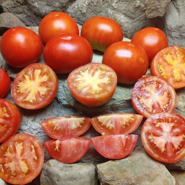 F.H. CROW NEW TOMATOES
