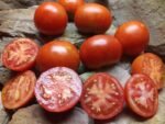 F.H. CROW RED TOMATOES