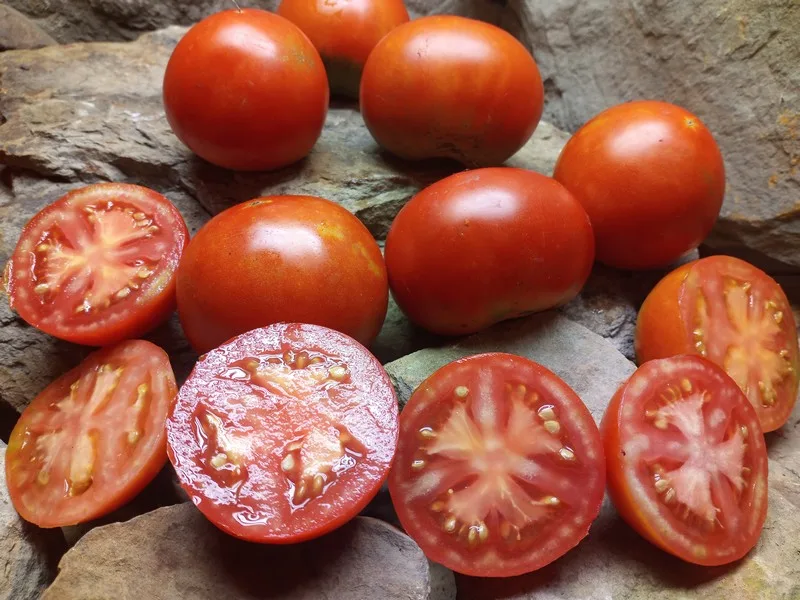 F.H. CROW RED TOMATOES