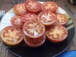 F.H. CROW SLICING TOMATOES