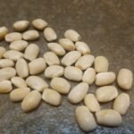 Fox Family Greasy Bean