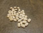 Fox Family Greasy Bean - Image 3