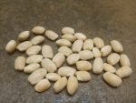 Fox Family Greasy Bean - Image 4