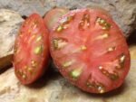 FRANKENSTIEN BLACK BEEFSTEAK TOMATOES