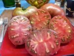 FRANKENSTIEN BLACK BICOLORED TOMATOES