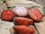 FRANKENSTIEN BLACK INDETERMINATE TOMATOES