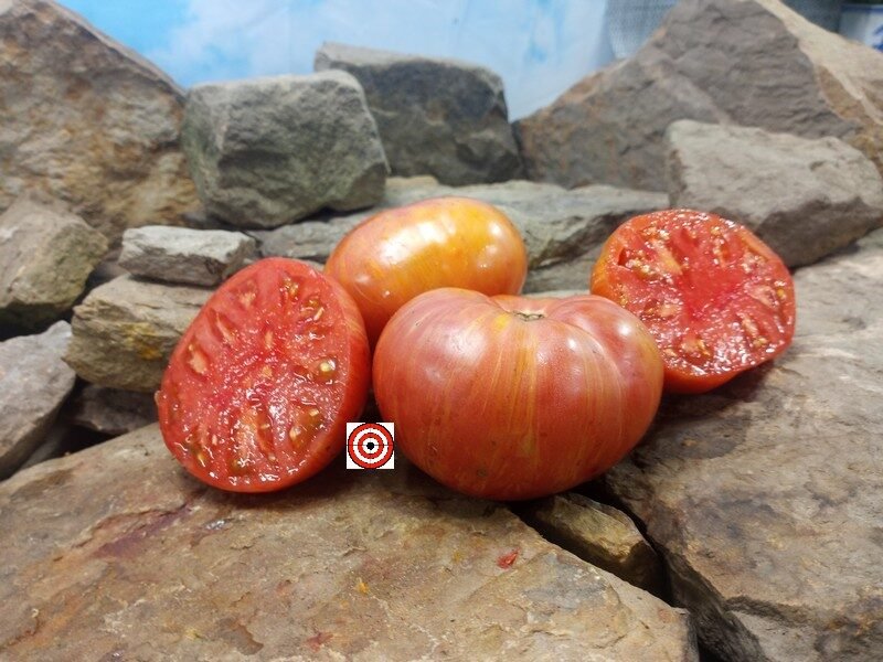 https://bountyhunterseeds.com/wp-content/uploads/2021/10/Firebird-Sweet-Dwarf-Tomato-550x413@2x.jpg