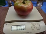 Gary' O Sena Tomato