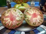 Gary' O Sena Indeterminate Tomatoes