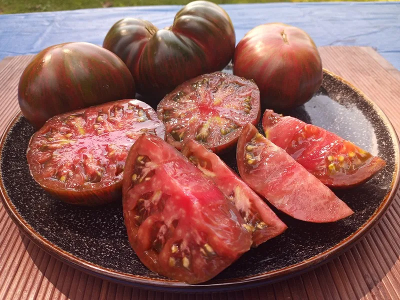 GGWT BICOLORED TOMATOES