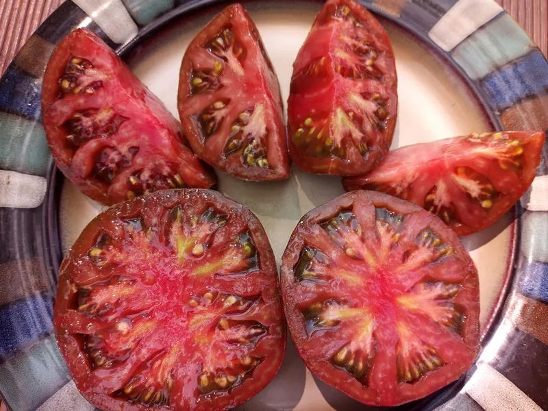 GGWT INDETERMINATE TOMATOES