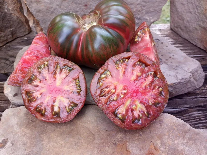 GGWT (Girl Girls Weird Thing) Tomatoes