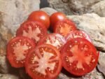 GIFT FROM WOODLANDS RED TOMATOES