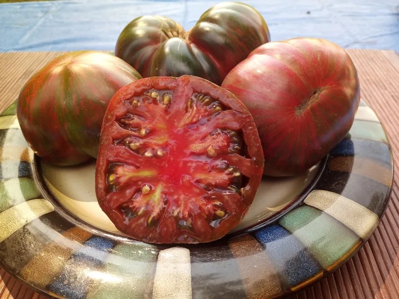 GIRL GIRLS WIERD THING STRIPED TOMATOES