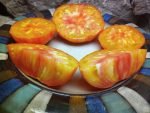 GOLDEN CHEROKEE INDETERMINATE TOMATOES