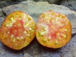 GOLDEN CHEROKEE SLICING TOMATO