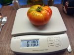 Golden Cherokee Tomato