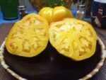 GOLDEN JUBILEE HEIRLOOM TOMATOES