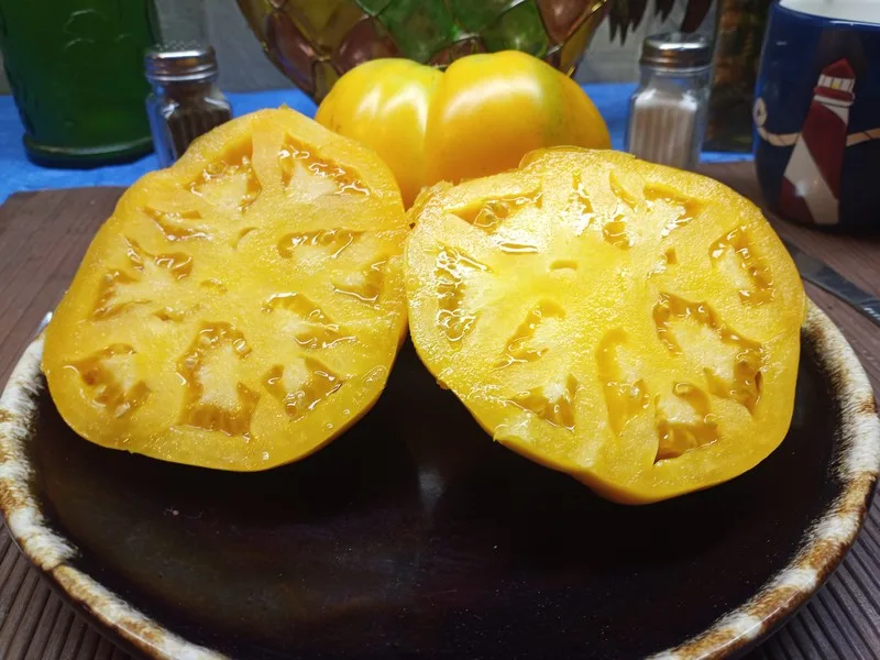 GOLDEN JUBILEE HEIRLOOM TOMATOES