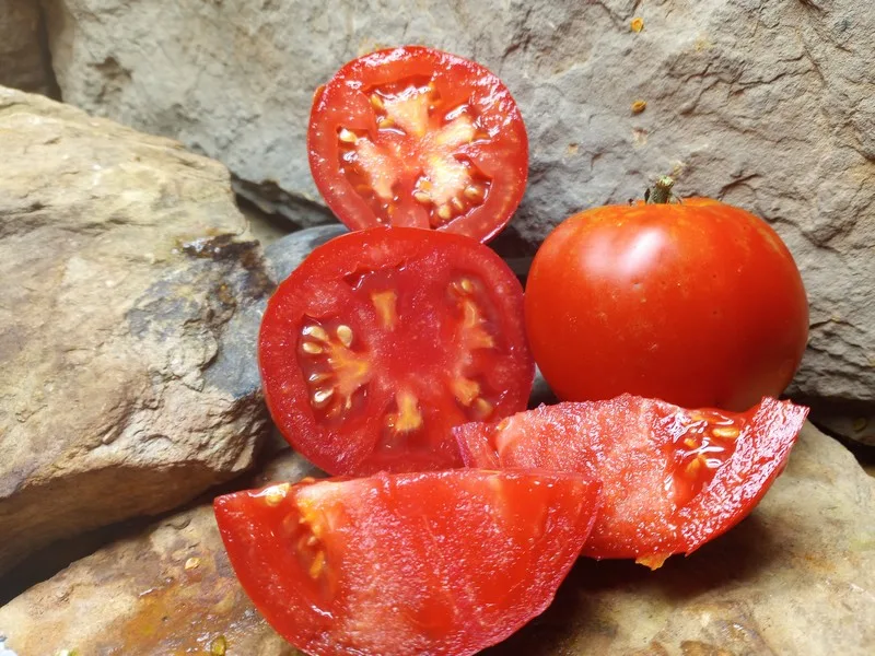 GOOSE CREEK TOMATOE SEEDS