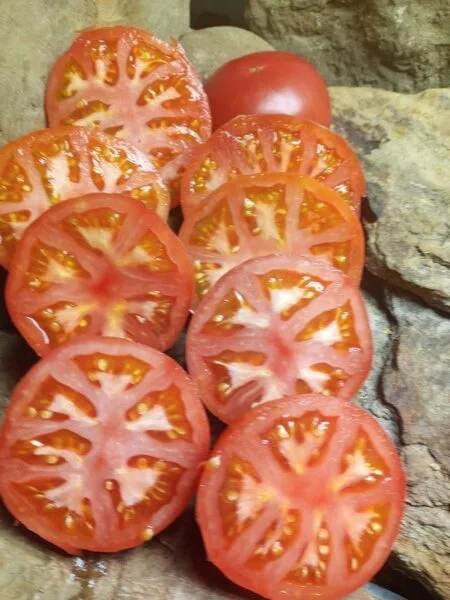GOOSE CREEK SLICING TOMATOES
