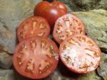Goose Creek Tomato