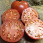 Goose Creek Tomato