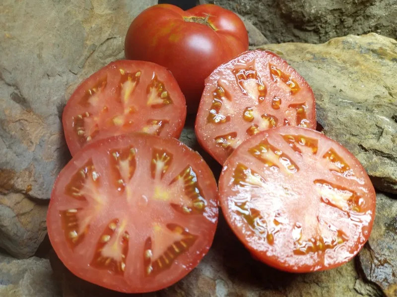 Goose Creek Tomato