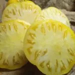 Great White Tomatoes