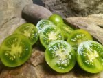 GREEN ZEBRA CHERRY TOMATOES INDETERMINATE