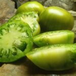 GRUB'S MYSTERY GREEN BEEFSTEAK TOMATOES