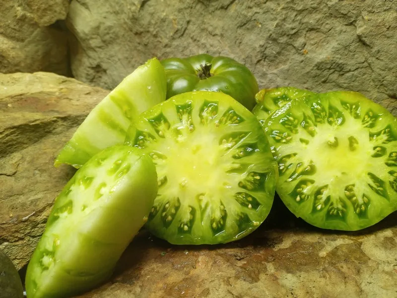 GRUB'S MYSTERY GREEN CANNING TOMATOES