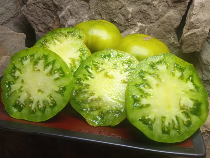 GRUB'S MYSTERY GREEN INDETERMINATE TOMATOES