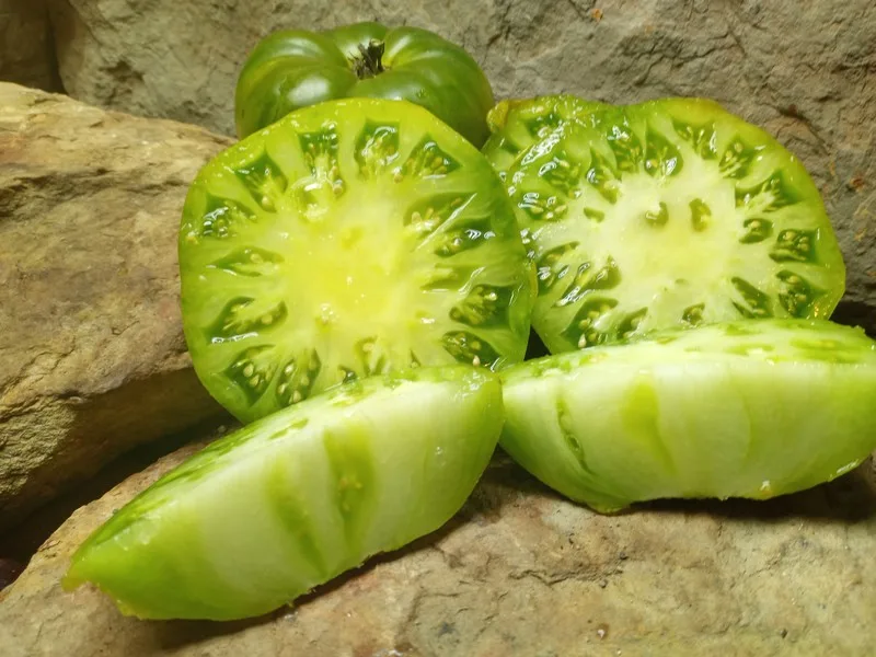 GRUB'S MYSTERY GREEN MARKET SELLER TOMATOES