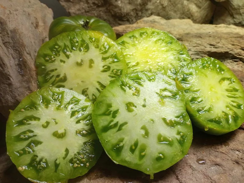GRUB'S MYSTERY GREEN SLICING TOMATOES